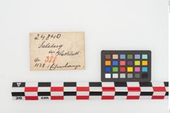 Etiketten zu Eisenlanzenspitze (NHMW-PRAE-024840)